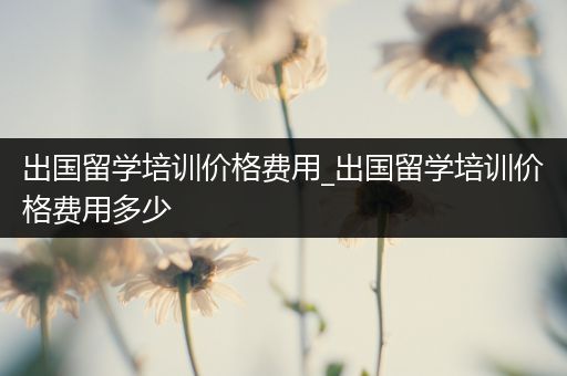 出国留学培训价格费用_出国留学培训价格费用多少