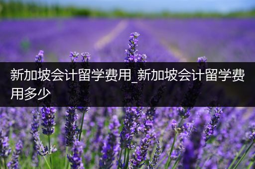 新加坡会计留学费用_新加坡会计留学费用多少