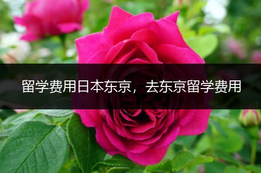留学费用日本东京，去东京留学费用