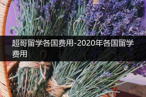 超哥留学各国费用-2020年各国留学费用