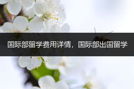 国际部留学费用详情，国际部出国留学