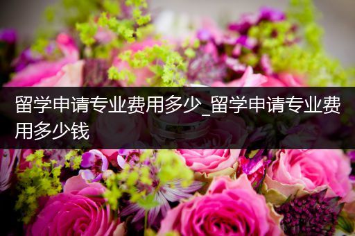 留学申请专业费用多少_留学申请专业费用多少钱