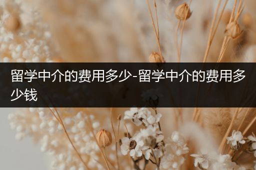 留学中介的费用多少-留学中介的费用多少钱