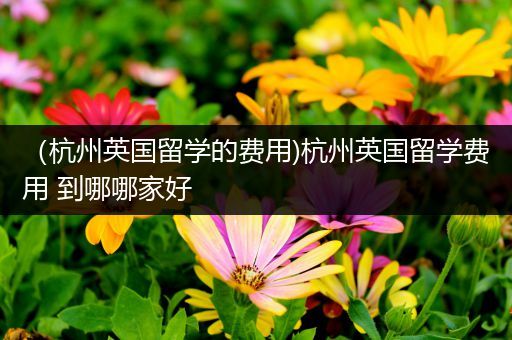 （杭州英国留学的费用)杭州英国留学费用 到哪哪家好