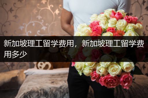 新加坡理工留学费用，新加坡理工留学费用多少