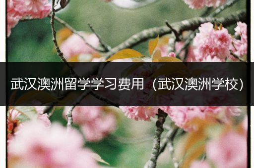 武汉澳洲留学学习费用（武汉澳洲学校）