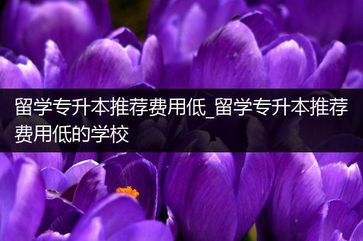 留学专升本推荐费用低_留学专升本推荐费用低的学校