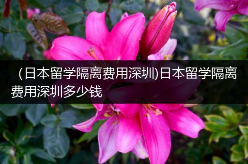 （日本留学隔离费用深圳)日本留学隔离费用深圳多少钱