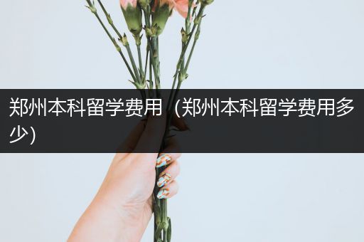 郑州本科留学费用（郑州本科留学费用多少）