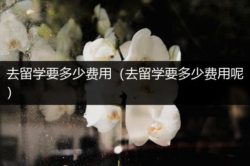 去留学要多少费用（去留学要多少费用呢）