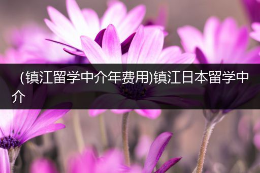 （镇江留学中介年费用)镇江日本留学中介
