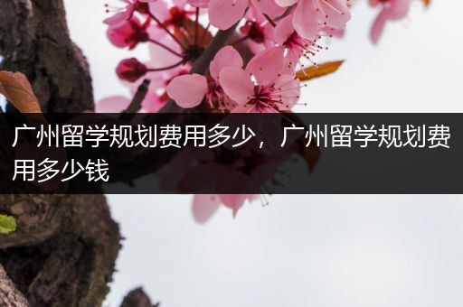 广州留学规划费用多少，广州留学规划费用多少钱
