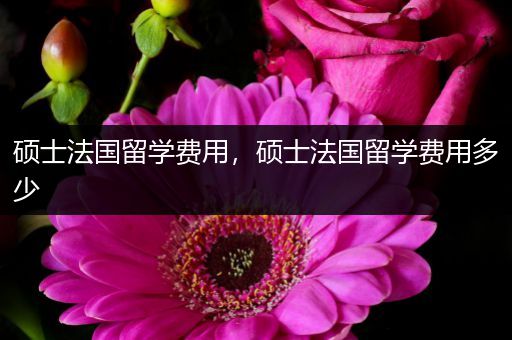 硕士法国留学费用，硕士法国留学费用多少