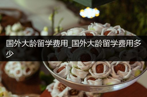 国外大龄留学费用_国外大龄留学费用多少