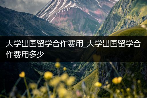 大学出国留学合作费用_大学出国留学合作费用多少