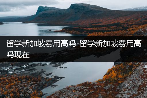 留学新加坡费用高吗-留学新加坡费用高吗现在