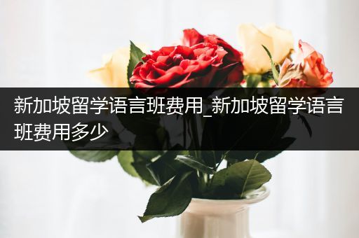 新加坡留学语言班费用_新加坡留学语言班费用多少