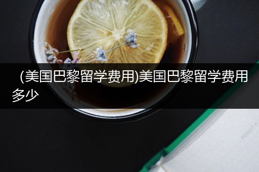 （美国巴黎留学费用)美国巴黎留学费用多少