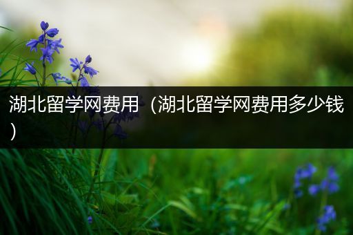 湖北留学网费用（湖北留学网费用多少钱）