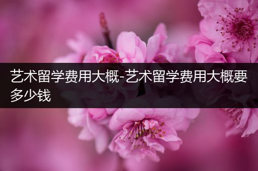 艺术留学费用大概-艺术留学费用大概要多少钱