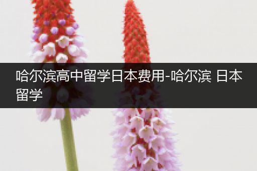 哈尔滨高中留学日本费用-哈尔滨 日本留学
