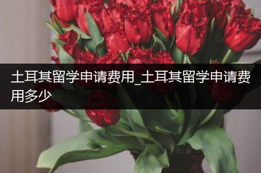 土耳其留学申请费用_土耳其留学申请费用多少
