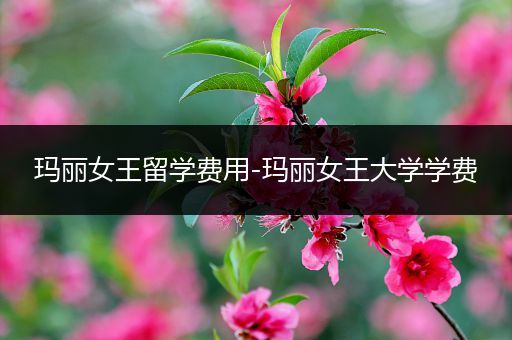 玛丽女王留学费用-玛丽女王大学学费