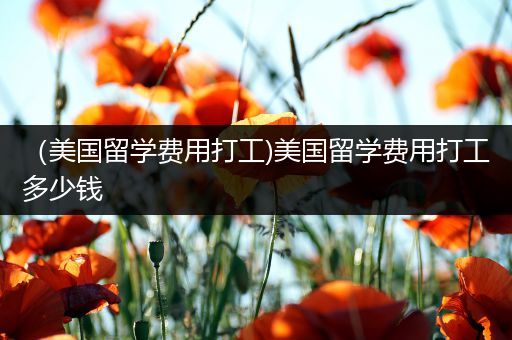 （美国留学费用打工)美国留学费用打工多少钱