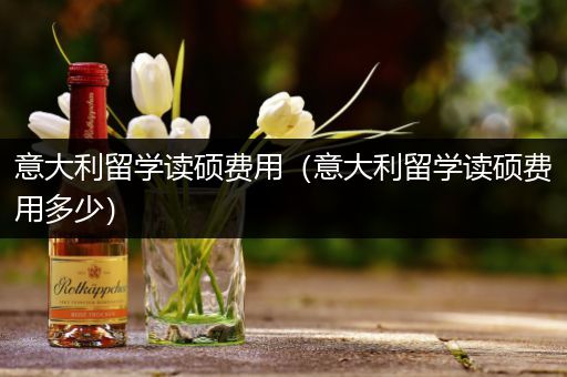 意大利留学读硕费用（意大利留学读硕费用多少）