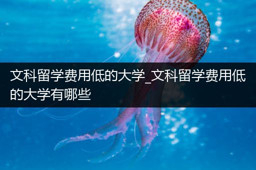 文科留学费用低的大学_文科留学费用低的大学有哪些