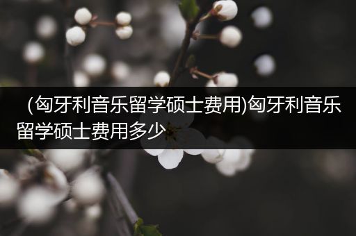 （匈牙利音乐留学硕士费用)匈牙利音乐留学硕士费用多少