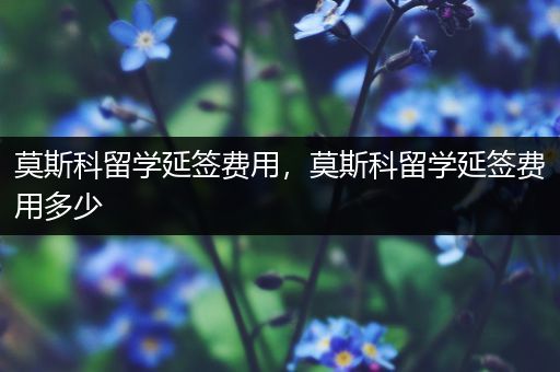 莫斯科留学延签费用，莫斯科留学延签费用多少