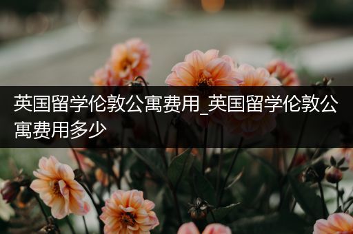 英国留学伦敦公寓费用_英国留学伦敦公寓费用多少