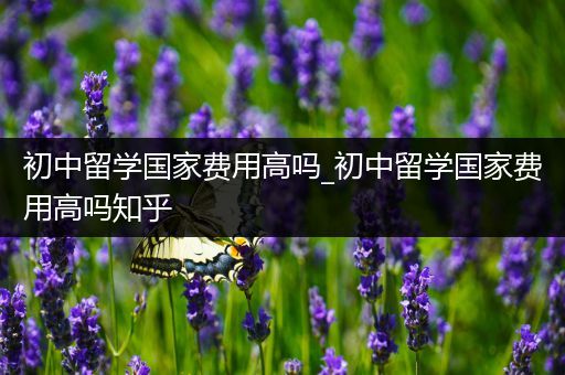 初中留学国家费用高吗_初中留学国家费用高吗知乎