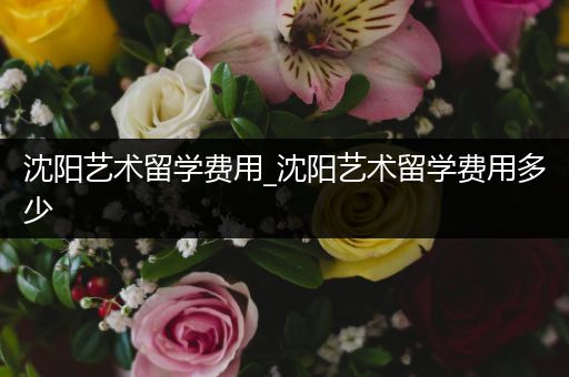 沈阳艺术留学费用_沈阳艺术留学费用多少