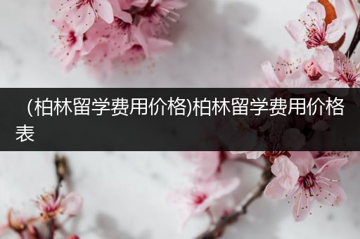 （柏林留学费用价格)柏林留学费用价格表