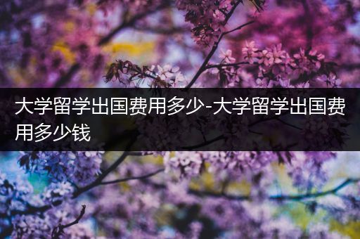 大学留学出国费用多少-大学留学出国费用多少钱