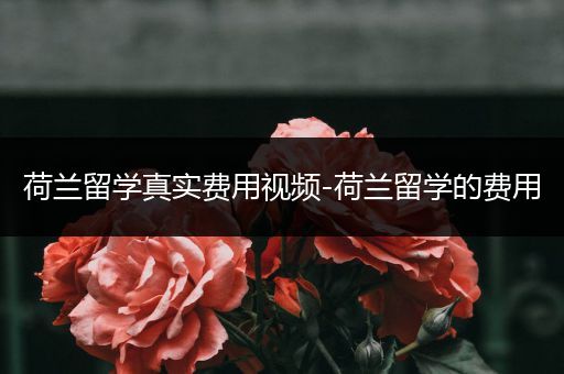 荷兰留学真实费用视频-荷兰留学的费用