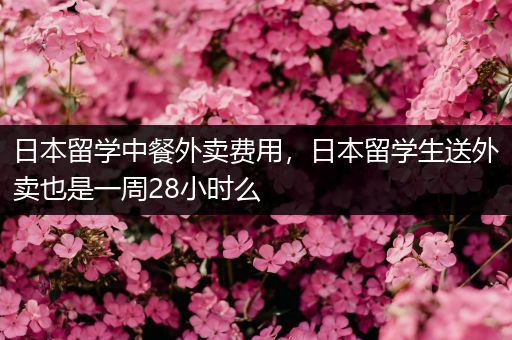 日本留学中餐外卖费用，日本留学生送外卖也是一周28小时么
