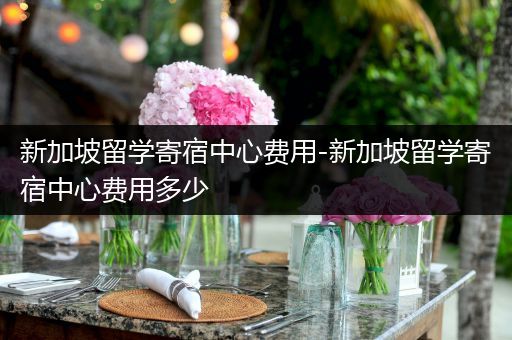 新加坡留学寄宿中心费用-新加坡留学寄宿中心费用多少
