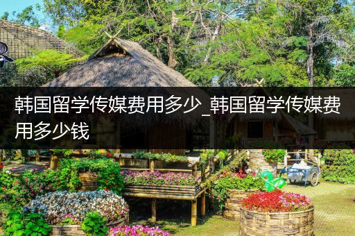 韩国留学传媒费用多少_韩国留学传媒费用多少钱