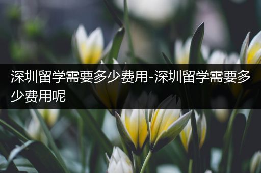 深圳留学需要多少费用-深圳留学需要多少费用呢
