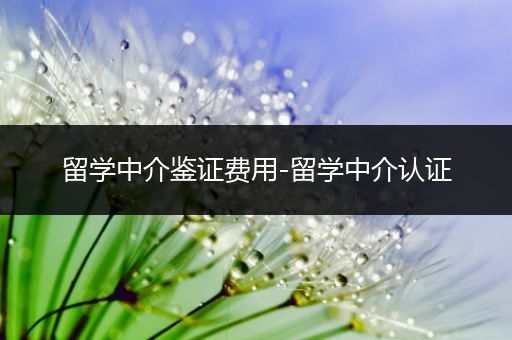 留学中介鉴证费用-留学中介认证
