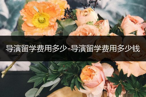 导演留学费用多少-导演留学费用多少钱