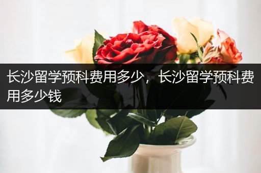 长沙留学预科费用多少，长沙留学预科费用多少钱