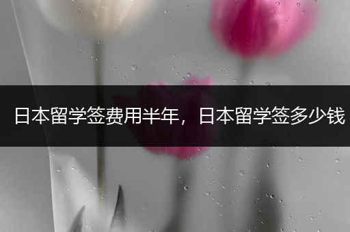 日本留学签费用半年，日本留学签多少钱