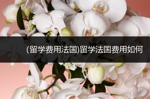 （留学费用法国)留学法国费用如何