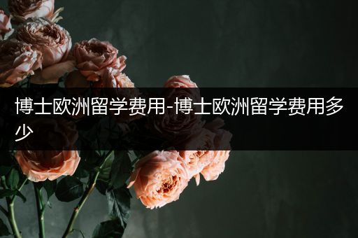 博士欧洲留学费用-博士欧洲留学费用多少
