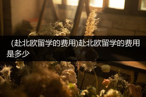 （赴北欧留学的费用)赴北欧留学的费用是多少
