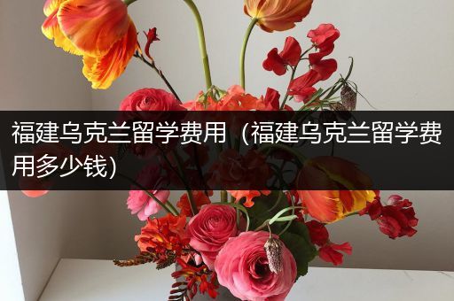 福建乌克兰留学费用（福建乌克兰留学费用多少钱）